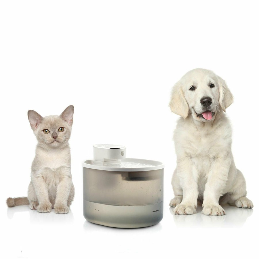 Gadget InnovaGoods | Oplaadbare Waterfontein Met Sensor Voor Katten Refopet Innovagoods