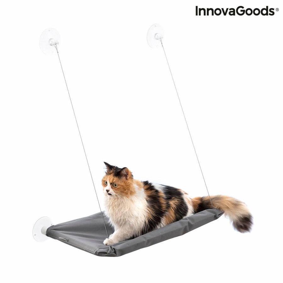 Gadget InnovaGoods | Kattenhangmat Catlax Innovagoods