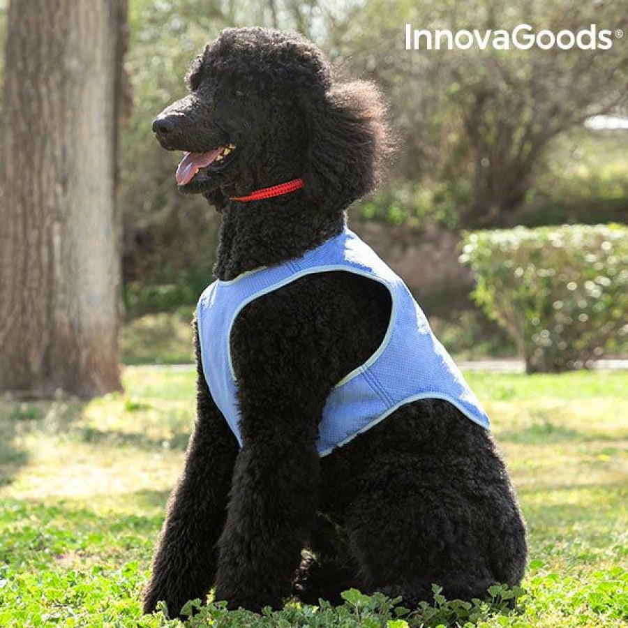 Gadget InnovaGoods | Innovagoods Verkoelend Vest Voor Middelgrote Honden - M