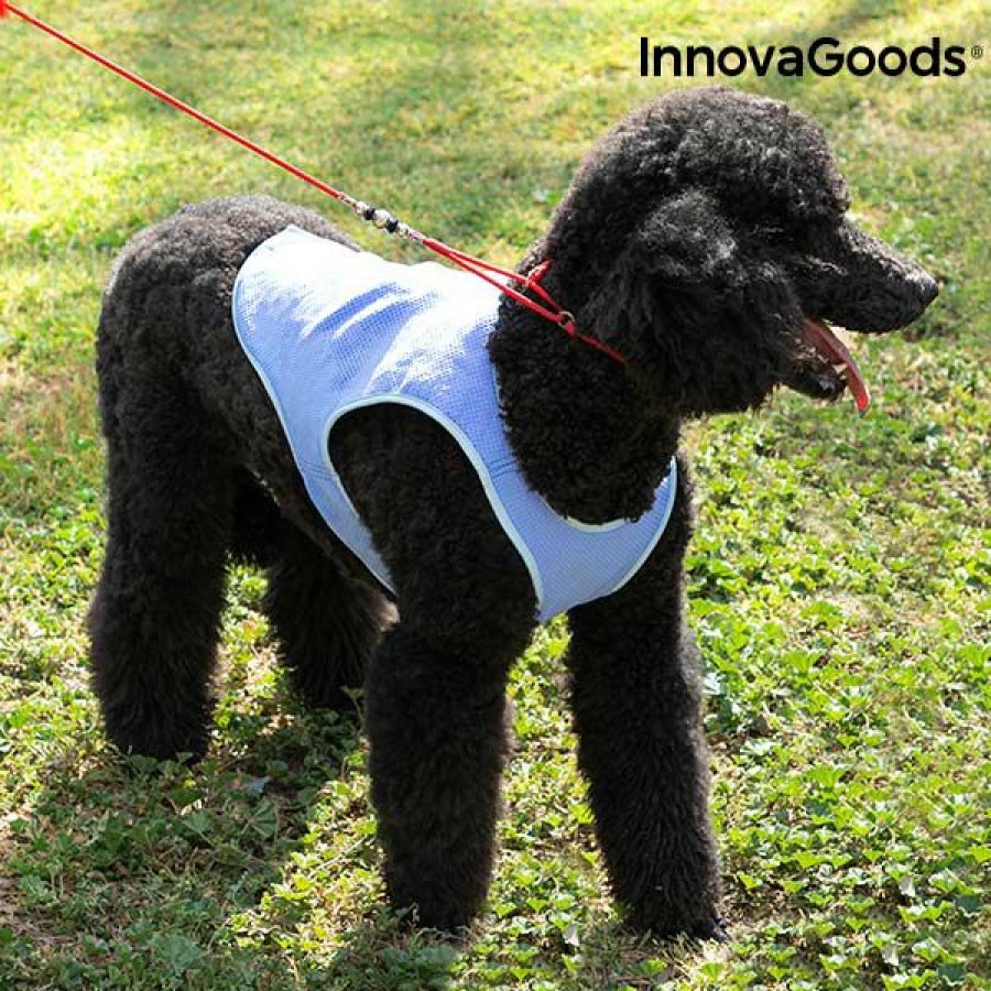 Gadget InnovaGoods | Innovagoods Verkoelend Vest Voor Middelgrote Honden - M